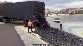 Looking Into Why 96,000,000 Black Balls Are Dumped Into This Reservoir!