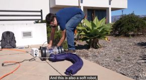 Weird Bendy Balloon Robot Might Save Your Life One Day!
