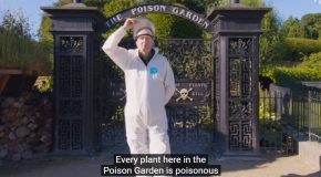 Poison Garden, The Garden Full Of Poisonous Plants!