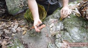 Using Primitive Technology To Catch Freshwater Shrimps!