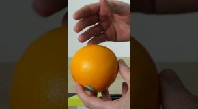 Why Oranges Can Cause Balloons To Explode!