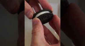 How To Perfectly Separate An Oreo Cookie!