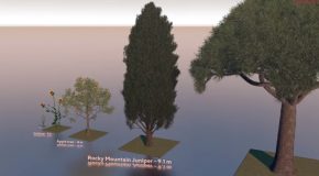 Cool Comparison Of Tree Sizes Using 3D Tech!