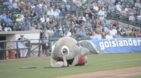 Funny Fish Mascot Ends Up Eating Worker!