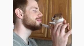 Daddy Gets Surprised By A New Puppy!
