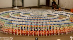 Incredible Triple Spiral Dominoes With 15,000 Dominoes!