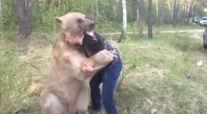 Russian Guy Plays Around Massive Bear