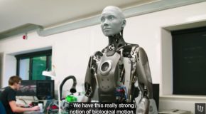 Looking At How This Humanoid Robot Was Made