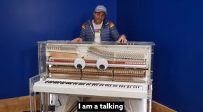 The Amazing Piano That Can Speak English!