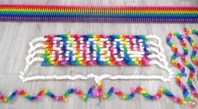 Incredible Rainbow Domino Stacks Fall In An Amazing Display Of Chain Reaction!