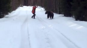 Swedish Man Scares The Living Daylights Out Of A Bear!