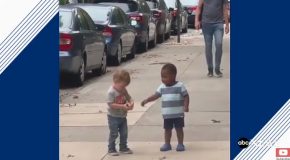 Two Toddlers Have The Most Adorable Reaction Upon Meeting Each Other!