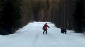 Bear Charges At A Swedish Man, Swedish Man Scares The Bear Away!