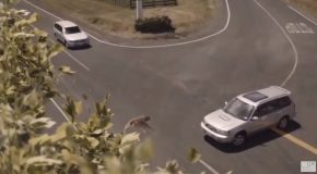 New Zealand’s Advertisement For Road Safety Is The Best One Ever!