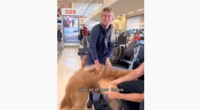 People React To Brodie, The Giant Dog!