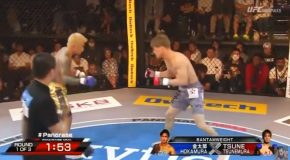 The Most Incredible Knockouts In MMA And Boxing!