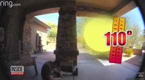 Doorbell Cam Captures A UPS Driver Collapsing From Severe Heat