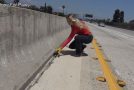 Kitten Abandoned On A Freeway Gets Rescued!