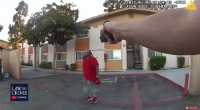 Police Bodycam Shows Cops Tasing A S*xual Assault Suspect!