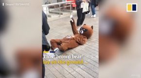 Bear Costume-Wearing Man Lies Down On The Floor And Hands Out Leaflets!