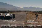Cheetah Gets Into A Drag Race With A Formula E Race Car!