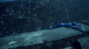 A Breathtaking Look Into The Underwater World Through The Eyes Of A Freediver!