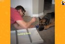 Cute Dog Patiently Waits For His Human Baby To Grow Up!