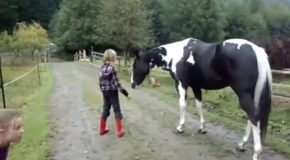 Horse Farts And Scares Both Itself And A Child!