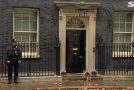 Cat Knocks On Door No 10 On Downing Street During Live TV Broadcast!