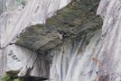 Rock Climber Climbs An Actual Ceiling On A Rock Face!