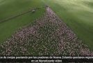 Beautiful Aerial Footage Of A Lot Of Sheep Herding Together