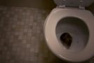 How It’s Possible For A Rat To Wriggle Up Into Your Toilet