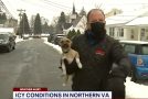 Cute Puppy Crashes Weather Reporter’s Live Report!