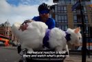 Deaf Cat Enjoys A Ride Around London With Her Dad On A Bicycle