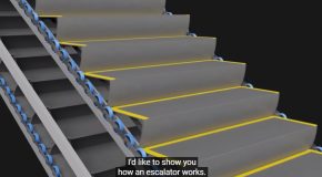 How Escalators Do Their Job!