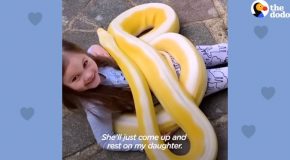 Little Girl Is Best Friends With Her 16-Foot-Long Python
