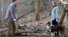 This Dog Loves Sword Fighting