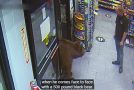 Huge Bear Keeps Stealing Candy From A Grocery Store