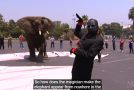 Insane Magic Trick Makes Elephant Appear Out Of Thin Air