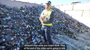 The Reality Of What Happens To Recycled Glass