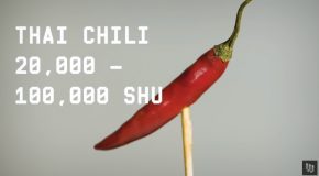 The Story Of The World’s Hottest Pepper