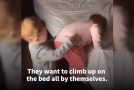 Mother Laughs As Her Two Toddlers Do Very Funny Things