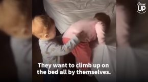Mother Laughs As Her Two Toddlers Do Very Funny Things