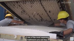 The Reason Why Latex Mattresses Are So Expensive
