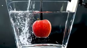Timelapse Video Of An Apple In Water For 365 Days