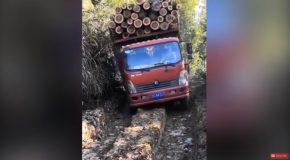 10 Of The Most Stupid Drivers Ever