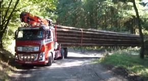 Logging Truck Carrying Massive Logs Of Wood Through The Jungle