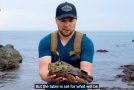 Man Gets Stung By A Stonefish