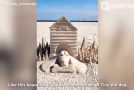 Absolutely Insane Sand Sculptures Guaranteed To Make You Go Wow