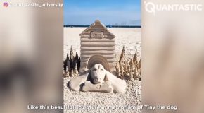 Absolutely Insane Sand Sculptures Guaranteed To Make You Go Wow